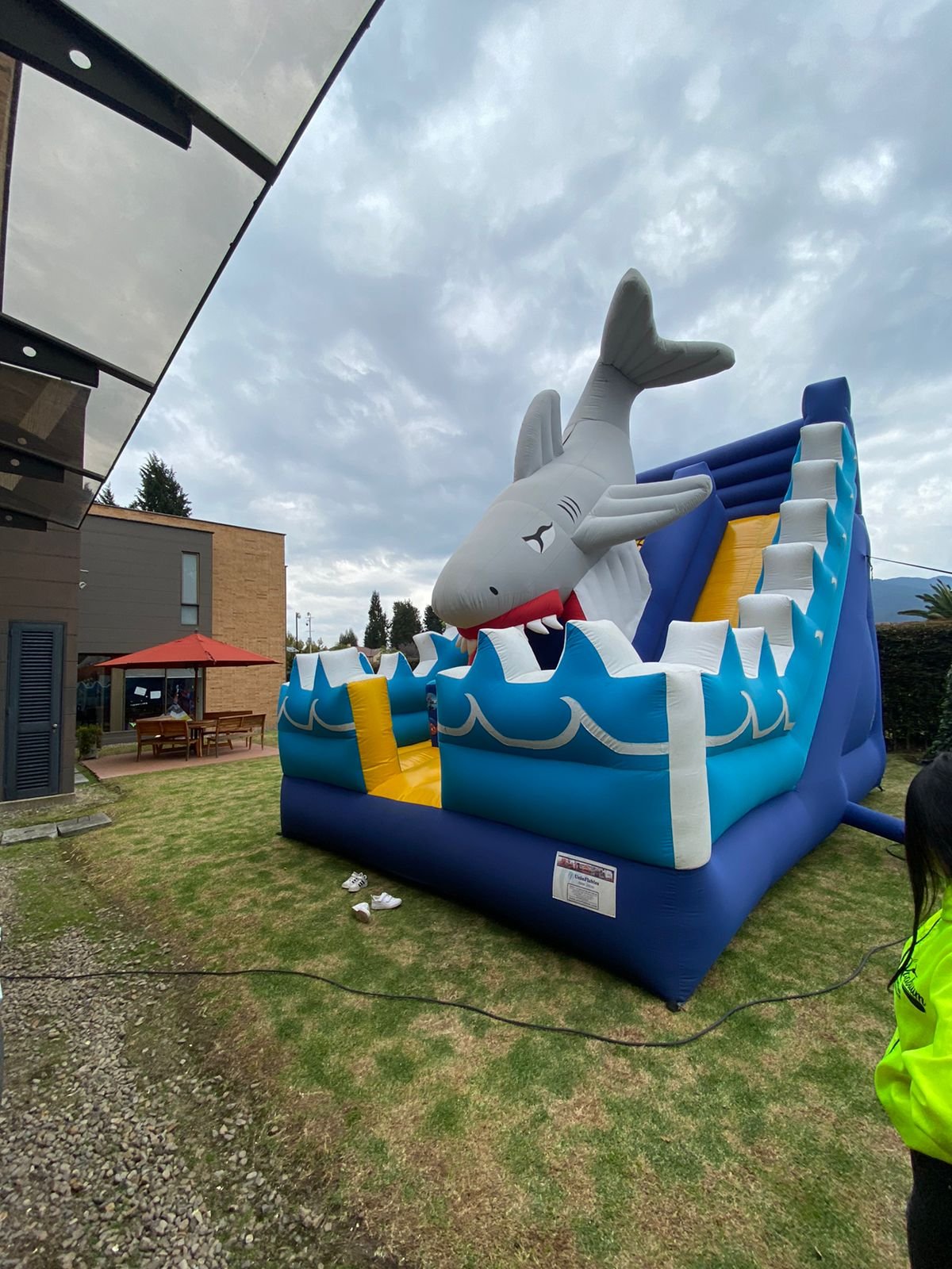 inflable tiburon